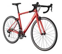 【セール】　CANNONDALE　キャノンデール CAAD105　Optimo1 51　